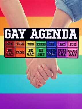 "GAY AGENDA" RAINBOW CALENDAR DAYS OF THE WEEK OIL DRIPPED ENAMEL PIN  NWT